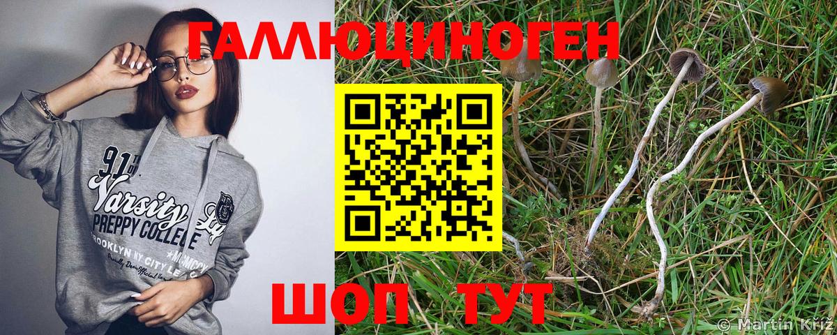 Конопля Новокуйбышевск